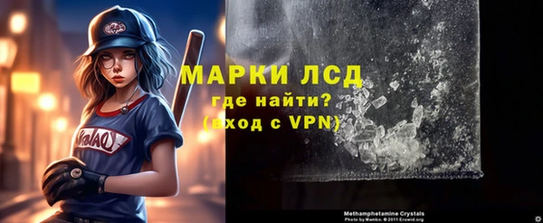 ГАЛЛЮЦИНОГЕННЫЕ ГРИБЫ Абаза