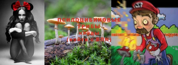 ГАЛЛЮЦИНОГЕННЫЕ ГРИБЫ Абаза