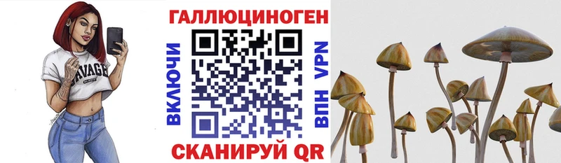 кракен рабочий сайт  что такое   Краснодар  Галлюциногенные грибы мухоморы 