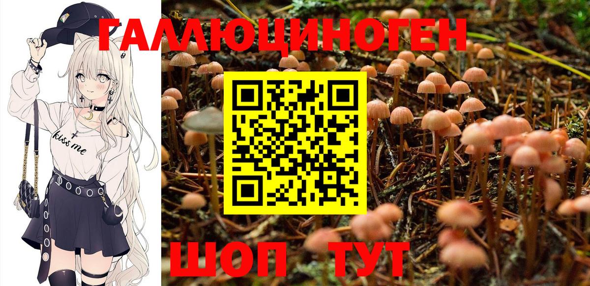 Псилоцибиновые грибы MAGIC MUSHROOMS  Вход с VPN  Краснодар 