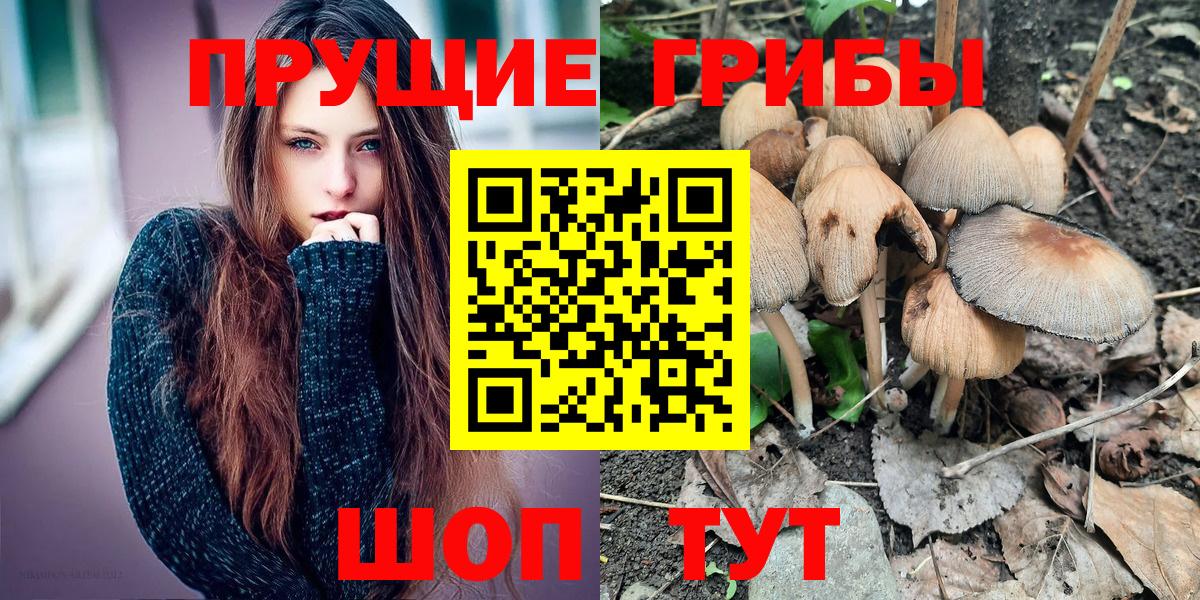 Галлюциногенные грибы Magic Shrooms Краснодар